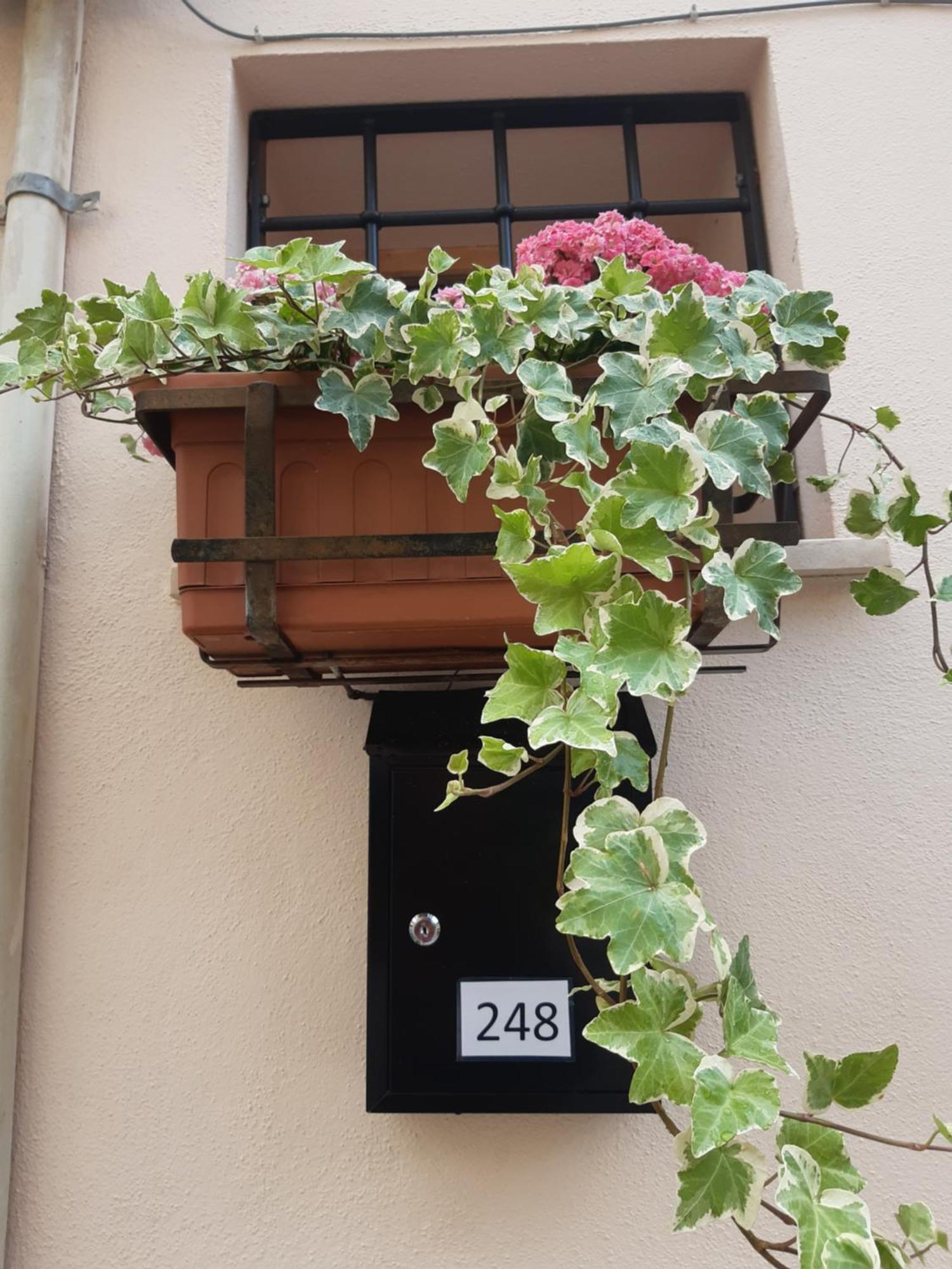 페루자 Casina A Porta Sant'Angelo 아파트 외부 사진